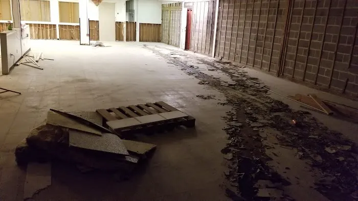 Elements Of Restoration Picture 9