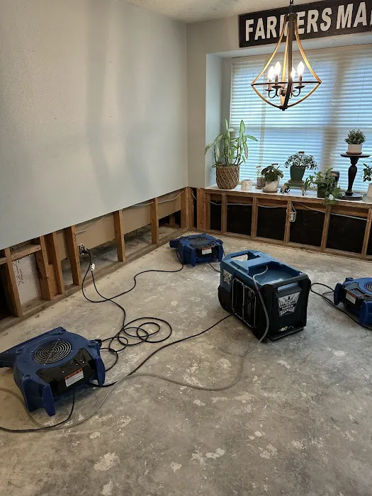 Elements Of Restoration Picture 7