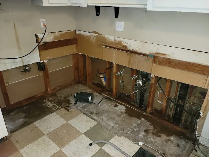 JSG Biocleanse Services Picture 3