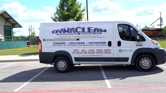 DynaClean Professional Services Picture 1
