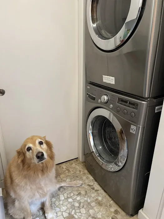 DynaClean Professional Services Picture 9