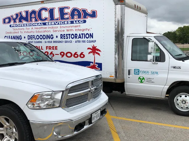 DynaClean Professional Services Picture 1