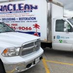 DynaClean Professional Services