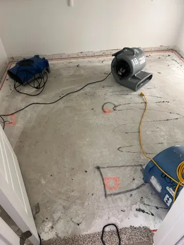 DynaClean Professional Services Picture 2