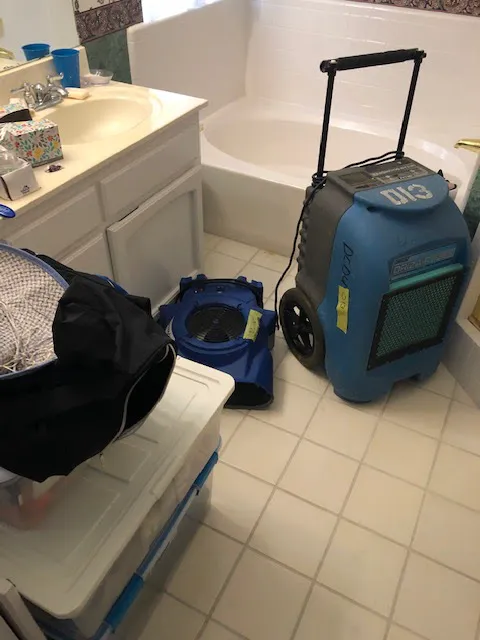 DynaClean Professional Services Picture 10