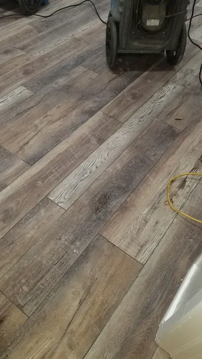 Carpet Scene Investigator Picture 1