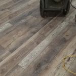 Carpet Scene Investigator