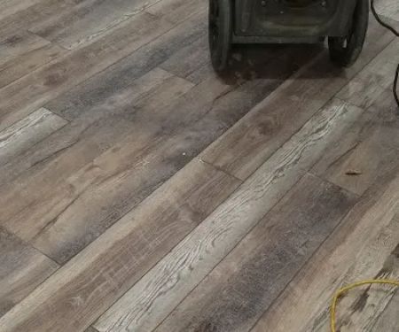 Carpet Scene Investigator