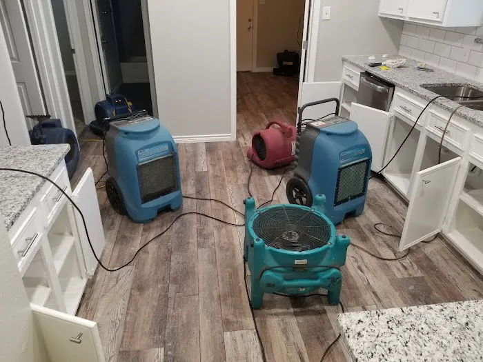 Carpet Scene Investigator Picture 2