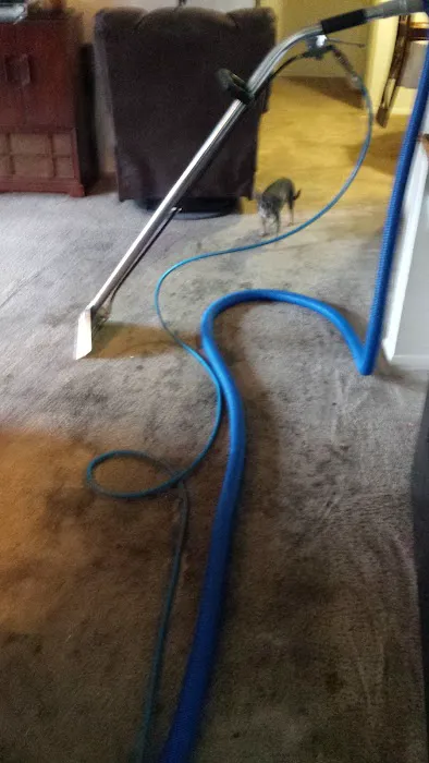 Carpet Scene Investigator Picture 6