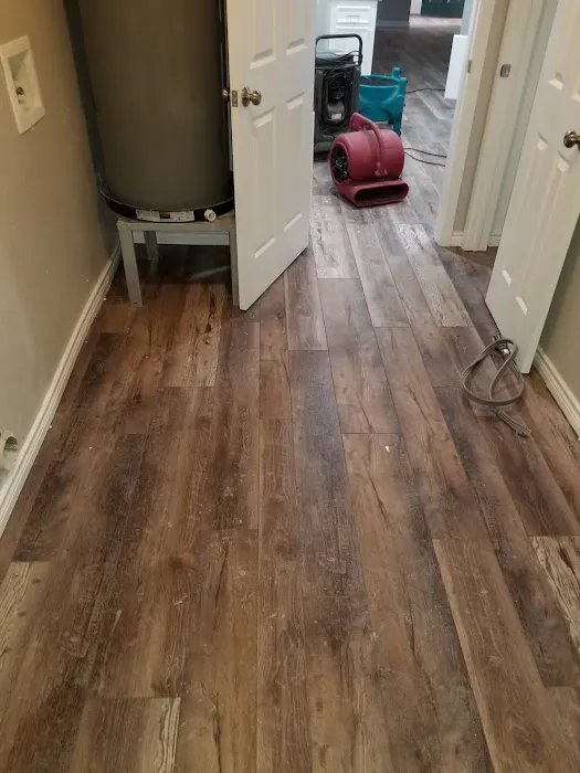 Carpet Scene Investigator Picture 4