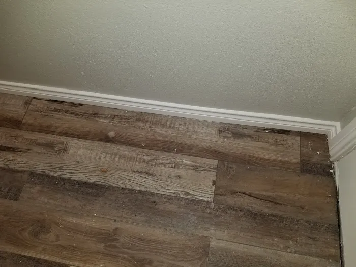 Carpet Scene Investigator Picture 5