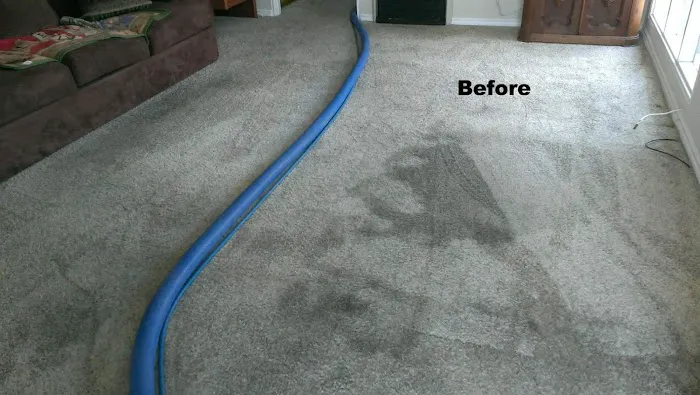 Carpet Scene Investigator Picture 8