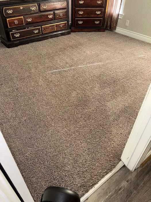 Stanley Steemer Picture 3