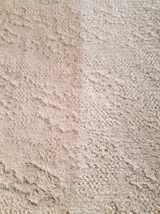 Stanley Steemer Picture 9