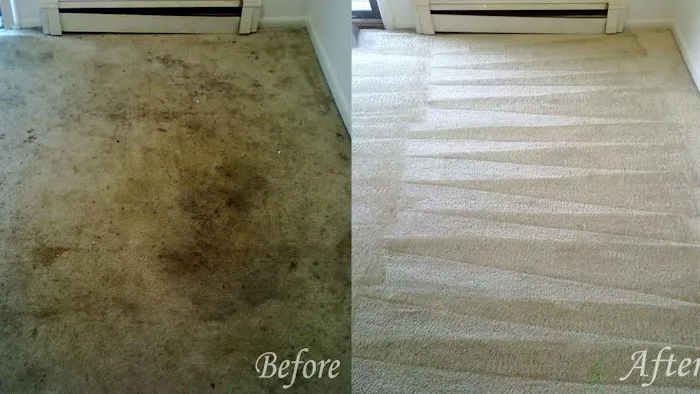 Clean Touch Carpet Services Picture 3