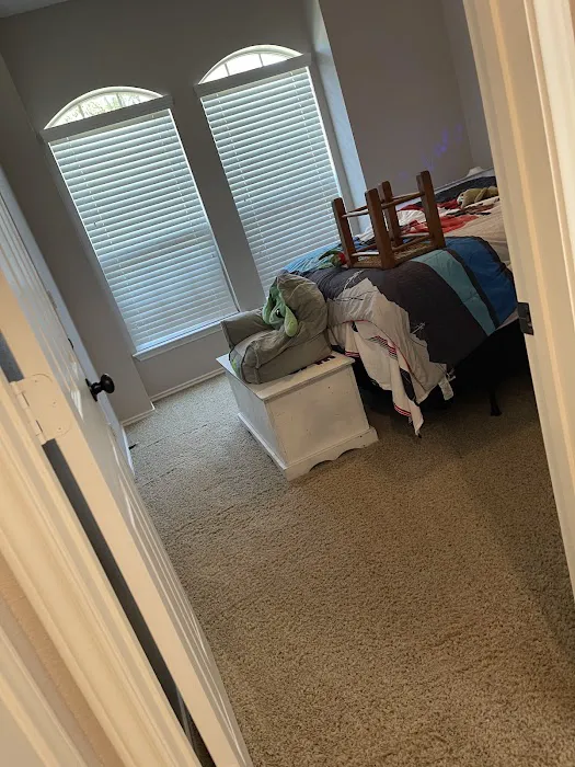 Clean Touch Carpet Services Picture 4