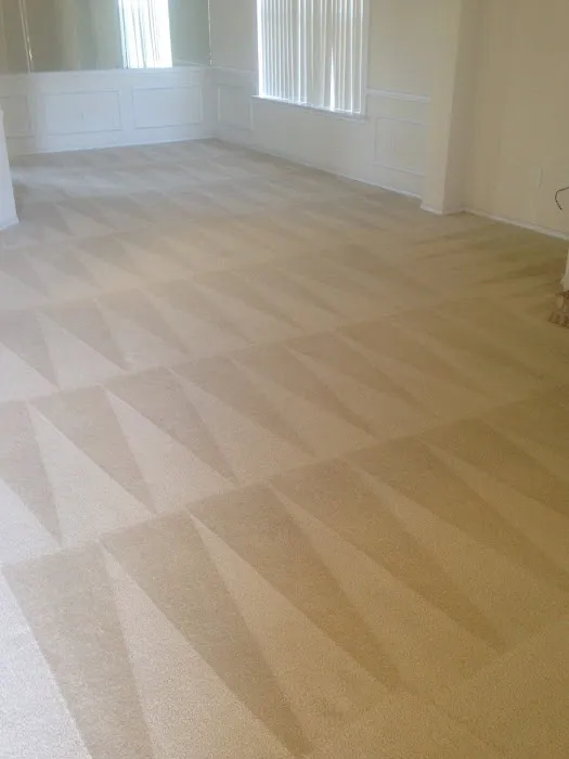 Xtreme Steam Carpet & Tile Cleaning Picture 5
