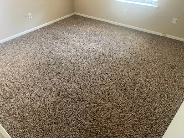 DynaClean Professional Services Picture 2