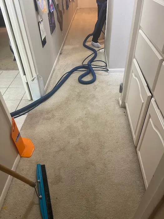 DynaClean Professional Services Picture 4