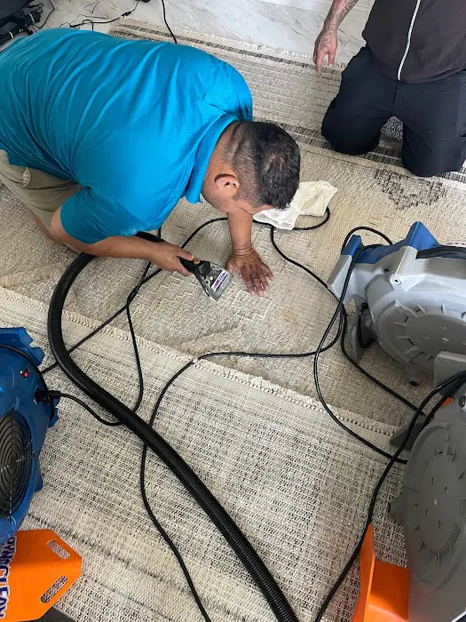 DynaClean Professional Services Picture 10