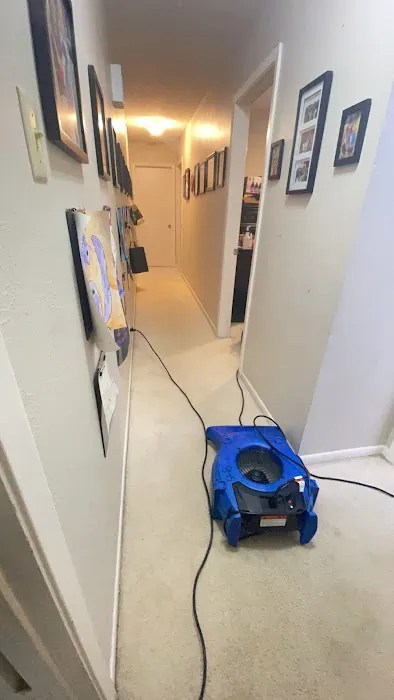 DynaClean Professional Services Picture 7