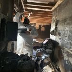 Lone Star Flood Restoration