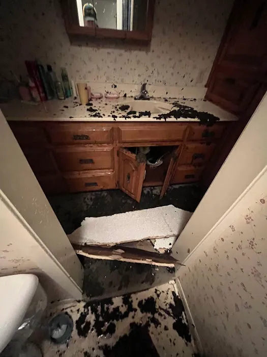 Enviro-Serv Picture 9