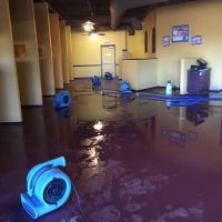 All Nation Restoration ico