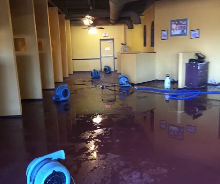 All Nation Restoration