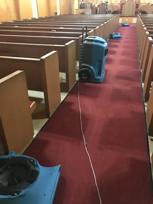 All Nation Restoration Picture 5