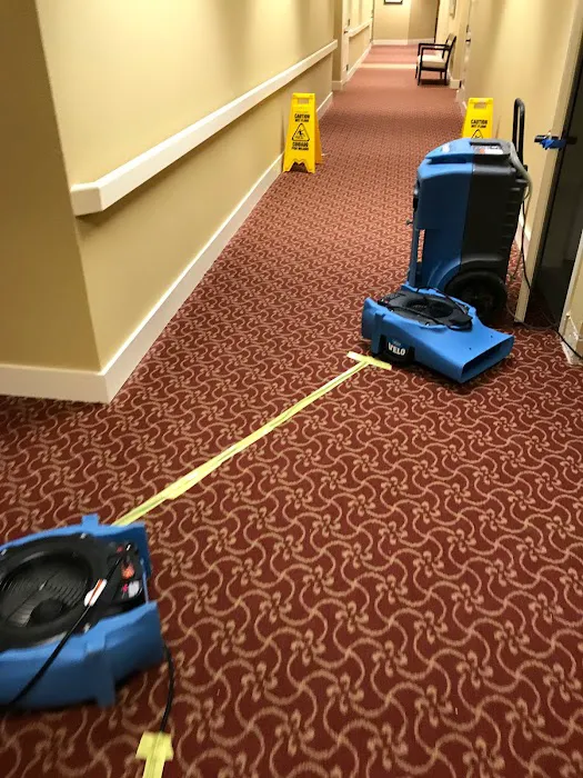 All Nation Restoration Picture 6