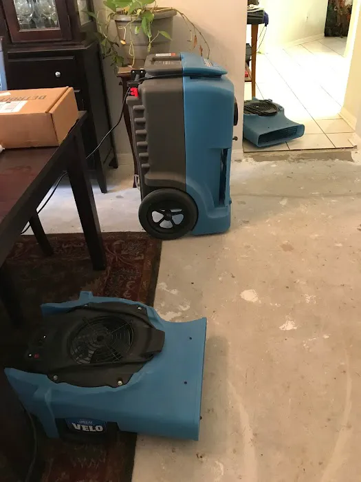 All Nation Restoration Picture 7