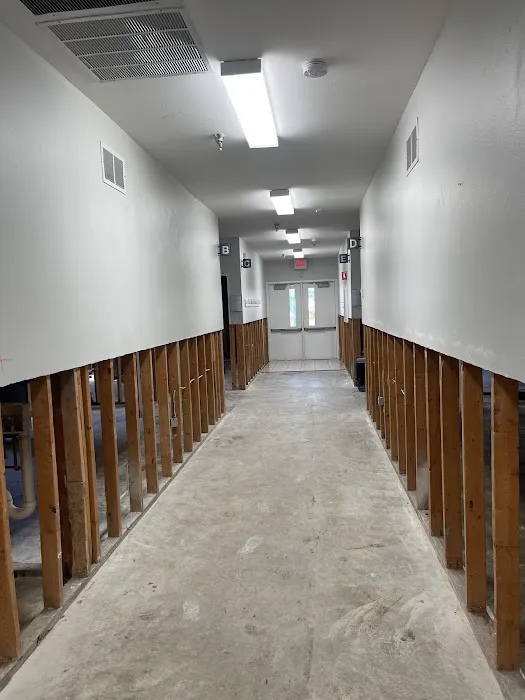 All In Restoration Picture 6