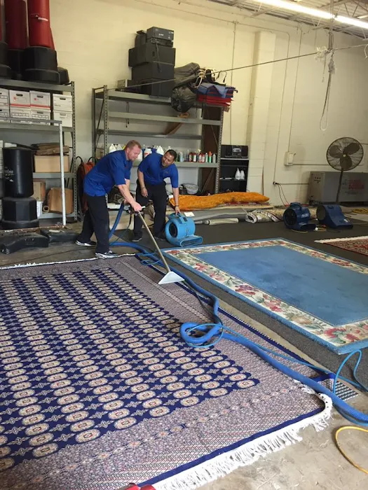 DynaClean Professional Services Picture 1