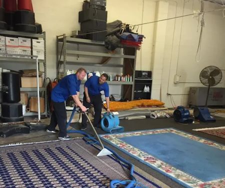 DynaClean Professional Services