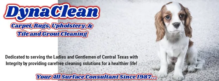 DynaClean Professional Services Picture 8