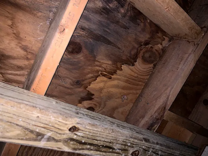 Crain Restoration Services Picture 5