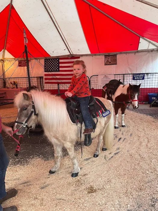 Crain Restoration Services Picture 8