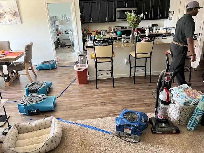 S.W.A.T. RESTORATION Picture 8