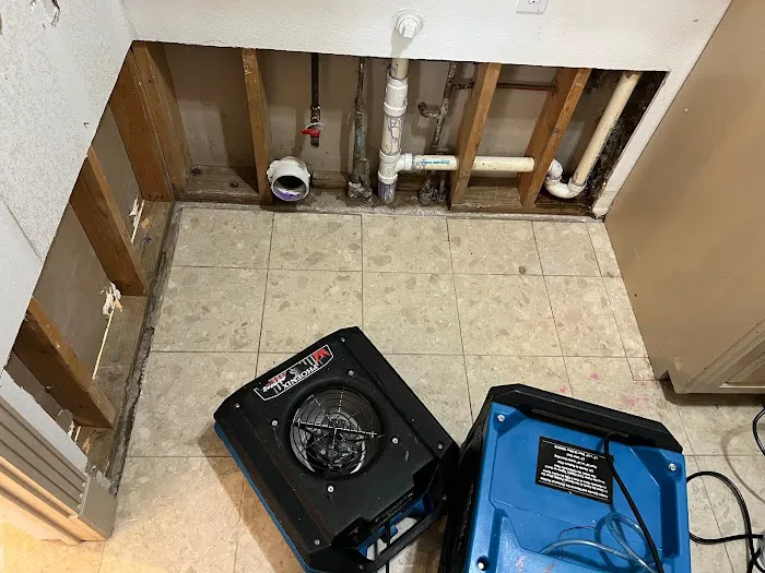 Pony Express Restoration Picture 1