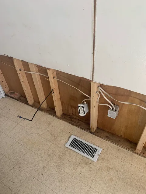 RDS Restoration Picture 2