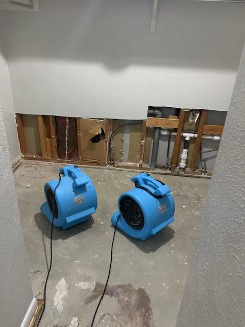 RDS Restoration Picture 3