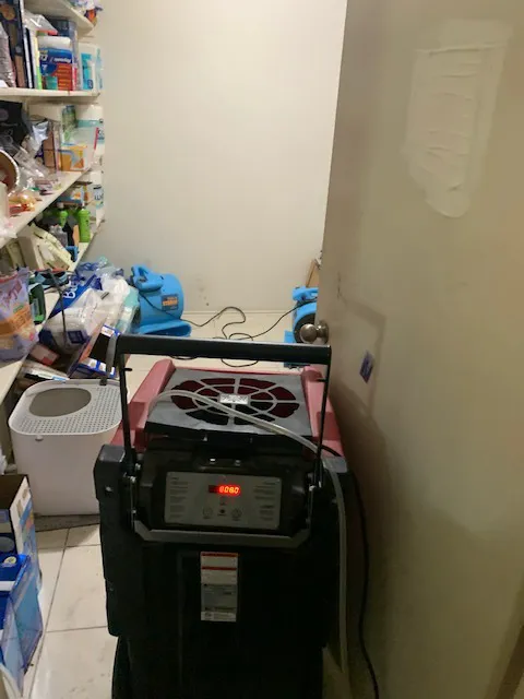 RDS Restoration Picture 6