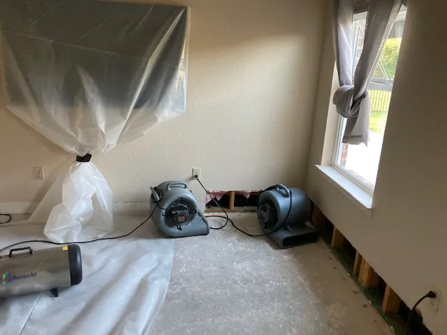 RDS Restoration Picture 4