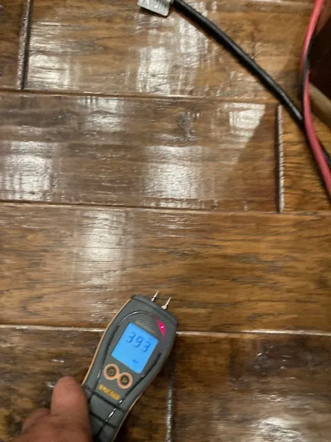 RDS Restoration Picture 5