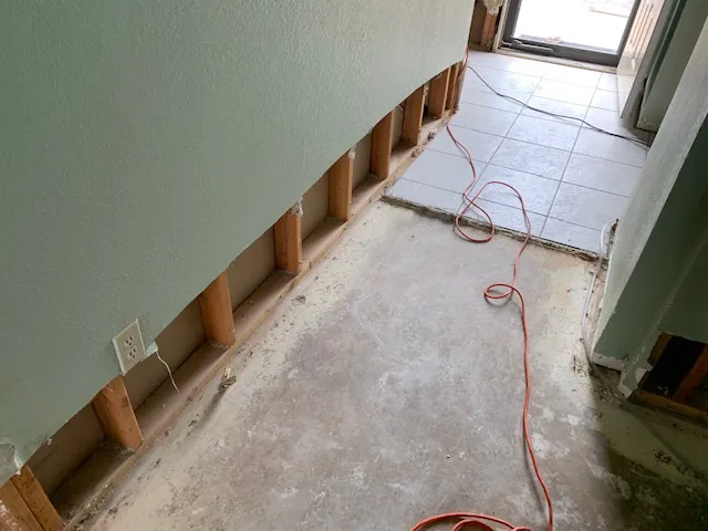 RDS Restoration Picture 10