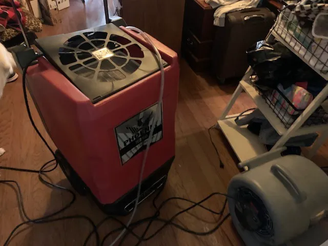 RDS Restoration Picture 7