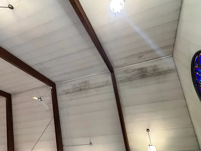 Texas Pro water damage Picture 3