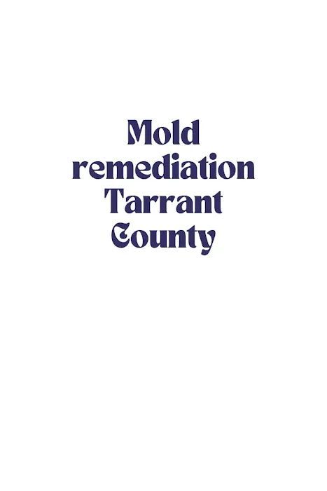 Texas Pro water damage Picture 6